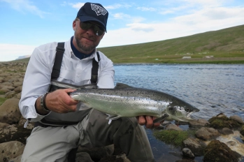 Micro Grilse Micro Grilse