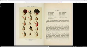 Reading Favorite Flies online Reading Favorite Flies online