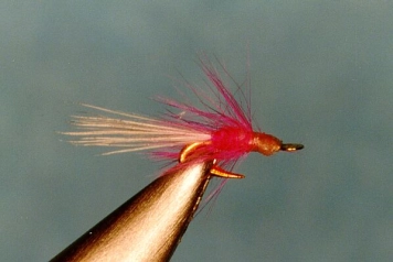 Andy Lamborne Andy Lamborne