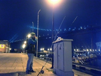 Harbor lights Harbor lights