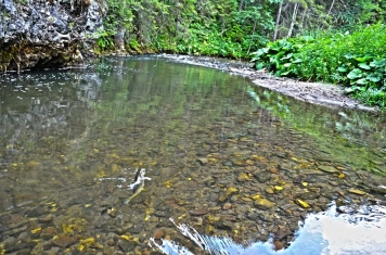 Almost landed Almost landed