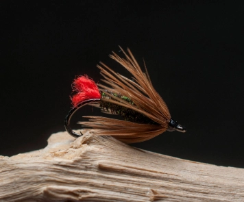Coastal red tag with normal hackle Coastal red tag with normal hackle