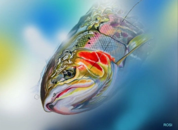 Salmon River Steel Salmon River Steel