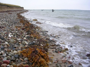 Nice conditions Nice conditions