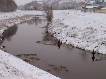Friends in the snow Friends in the snow