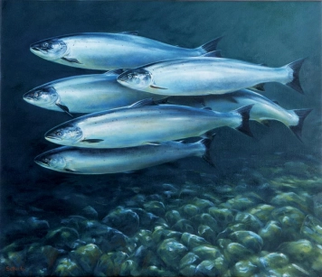 Night move Night move