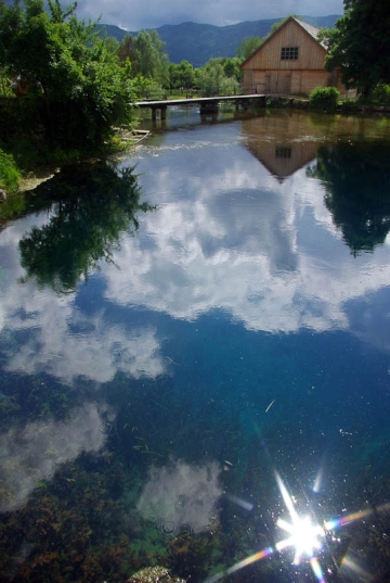 Pond reflection Pond reflection