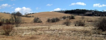 Fishing in New York Gallery Fishing in New York Gallery