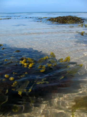 Simple environmental portrait Simple environmental portrait