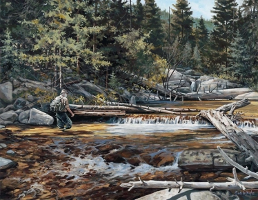 Close to home Close to home