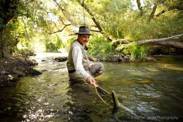 Marcel under the canopy Marcel under the canopy