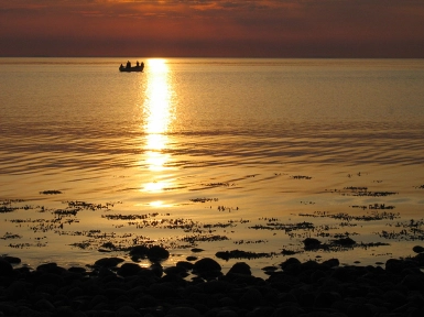 In the reflection In the reflection