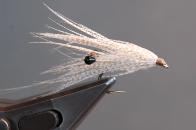 A head is not a head A head is not a head