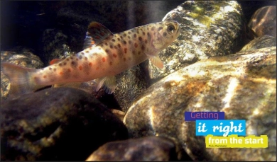 Vision yearbook tearsheet Vision yearbook tearsheet