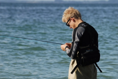 What fly, what fly? What fly, what fly?