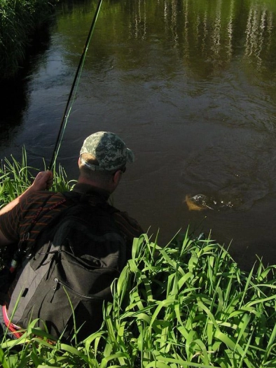 Nice brownie on a streamer Nice brownie on a streamer