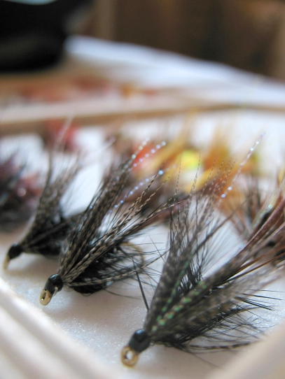 Green Peter Green Peter