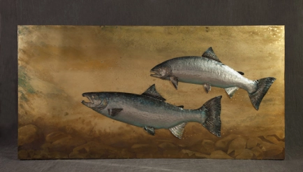 Two salmon Two salmon