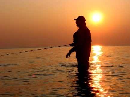 The classic retrieve The classic retrieve