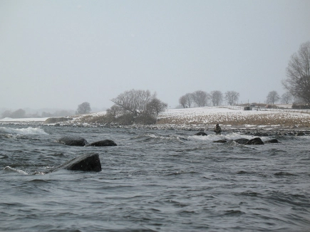 Cold and windy Cold and windy