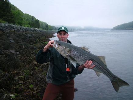 The artist with a very decent striper The artist with a very decent striper