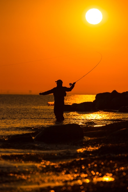 Sunshine cast Sunshine cast