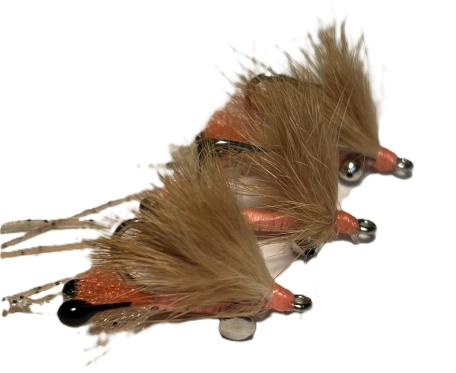 Peterson’s Spawning Shrimp Peterson’s Spawning Shrimp