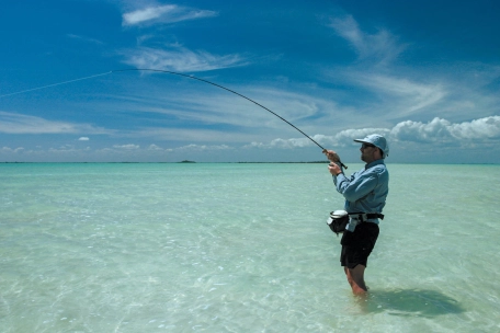 Leaning into a bonefish Leaning into a bonefish