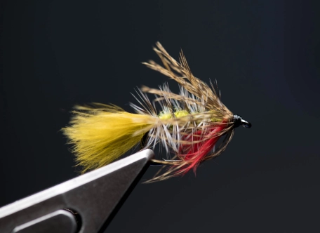 The resulting Wastebasket Stickleback The resulting Wastebasket Stickleback