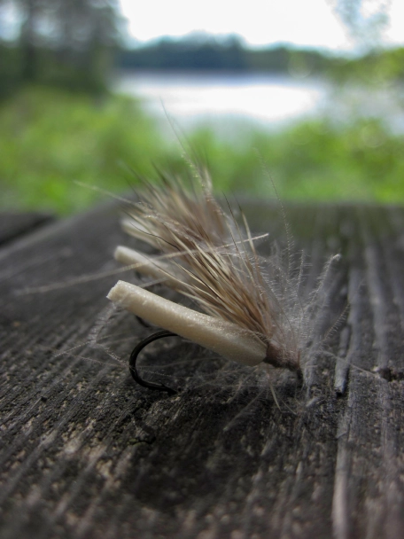 Foam CDC Caddis Foam CDC Caddis