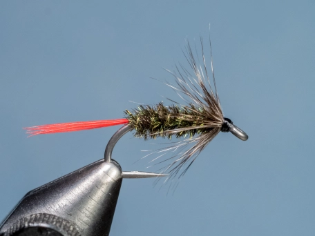 Gray Hackle Peacock Gray Hackle Peacock