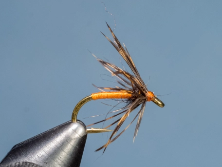 Grouse And Orange Grouse And Orange