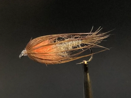 Mika Fly, damp Mika Fly, damp