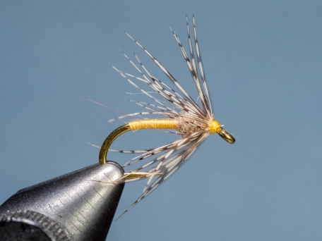 Partridge And Yellow Partridge And Yellow