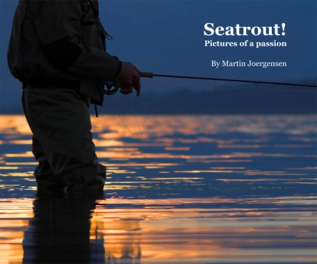 The book cover The book cover