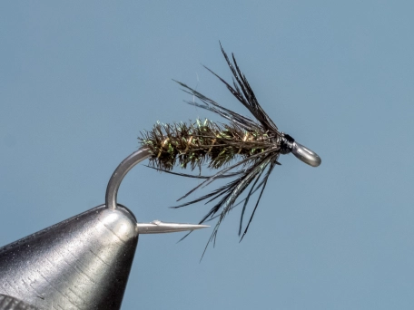 Starling And Herl Starling And Herl