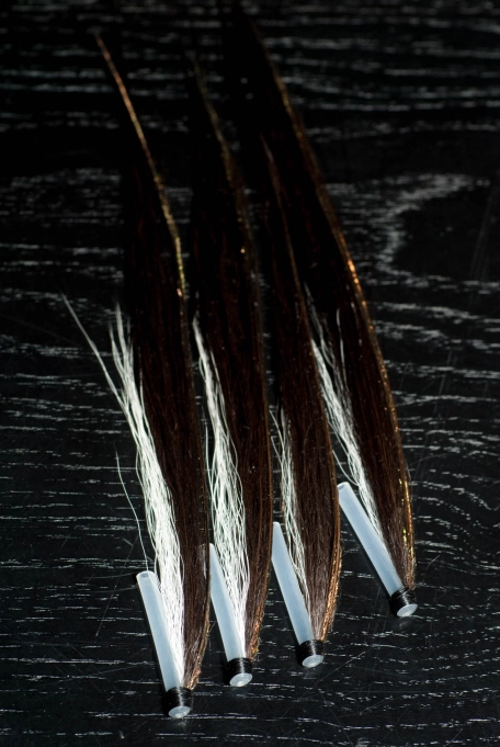 Sunray Shadows Sunray Shadows