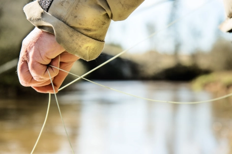 Hand on the line Hand on the line