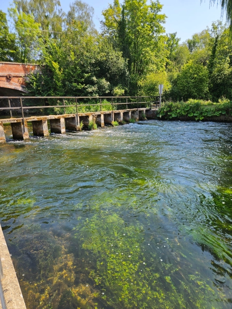 A small bridge A small bridge