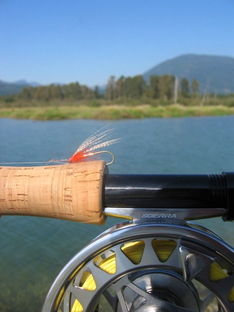 Erik's One Eye Erik's One Eye