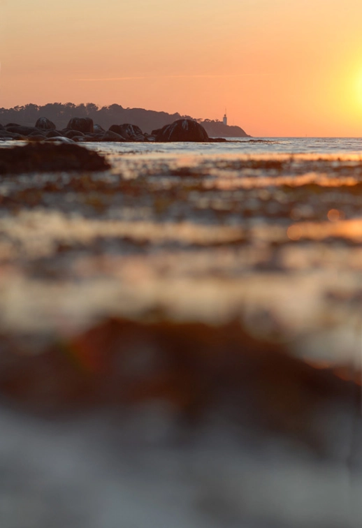 Perspective Perspective