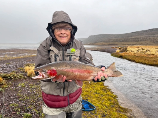 Sheer happiness Sheer happiness