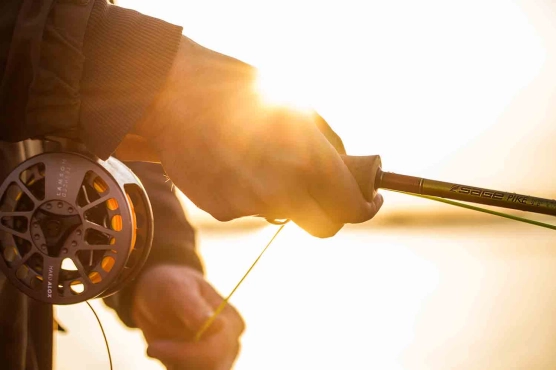Large arbor reel in the sun Large arbor reel in the sun