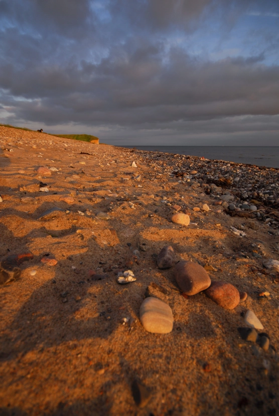 Nice evening Nice evening