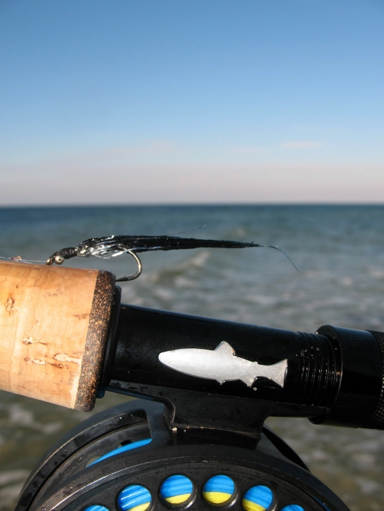 Moyerfokker Moyerfokker