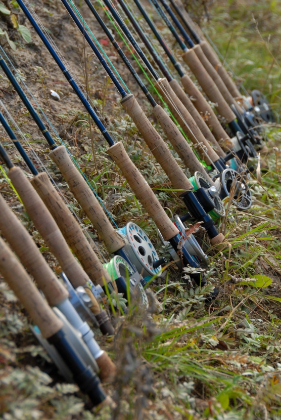 Lots of rods Lots of rods