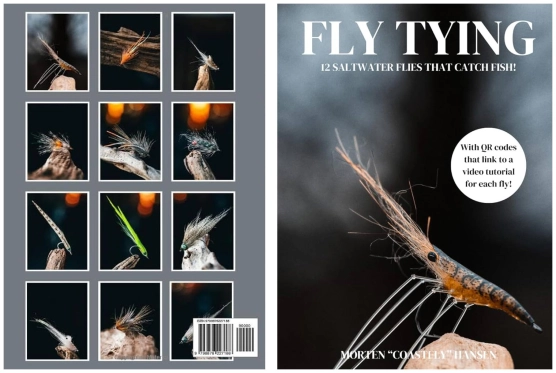 back and front back and front