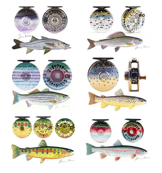 Prosek's Abel reels Prosek's Abel reels