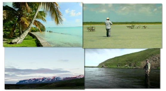 Tributaries Tributaries