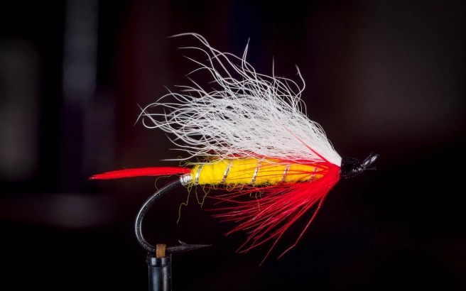 Al's Special Al's Special